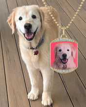 Load image into Gallery viewer, FETCH